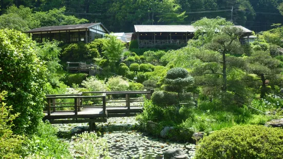 Takidani Iris Garden