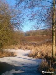 Fermyn Woods Country Park