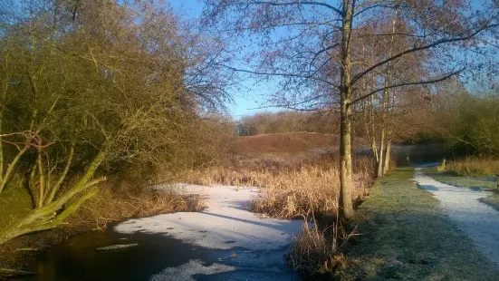 Fermyn Woods Country Park