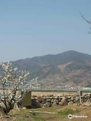 Gwangyang Maehwa Village