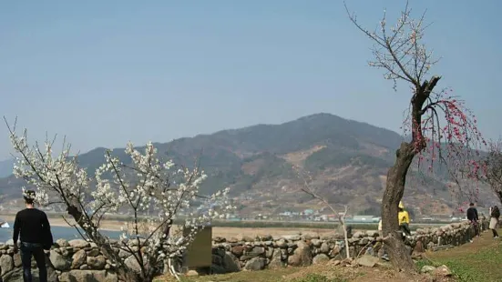 Gwangyang Maehwa Village