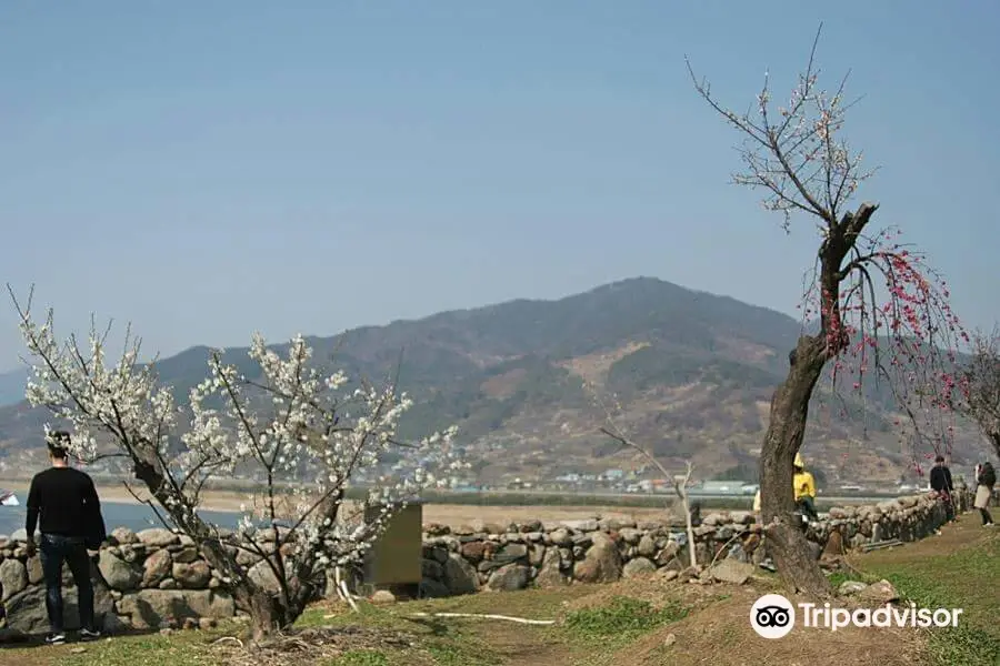 Gwangyang Maehwa Village