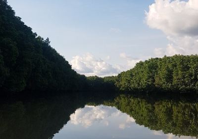 Mangrove Center Graha Indah