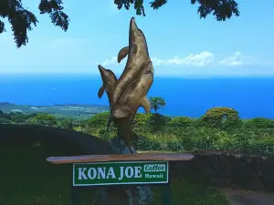 Kona Joe Coffee LLC