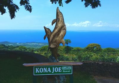 Kona Joe Coffee LLC