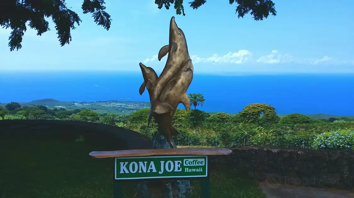 Hotels near Kona Joe Coffee LLC