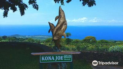 Kona Joe Coffee LLC