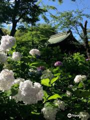 Hondoji Temple