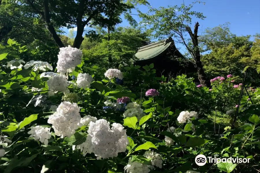 本土寺