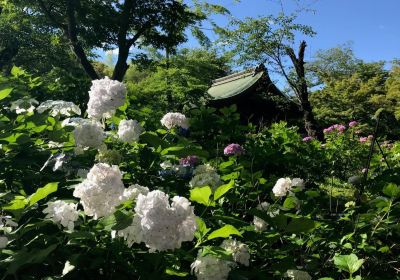 本土寺