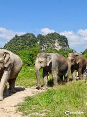 Krabi Elephant Sanctuary