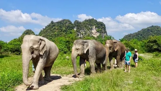 Krabi Elephant Sanctuary