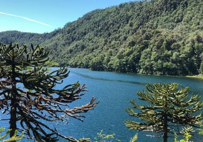 Huerquehue National Park