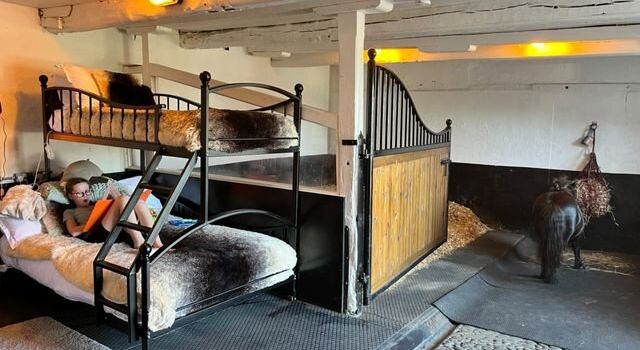 The Friesian Experience