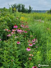 Heller Nature Center