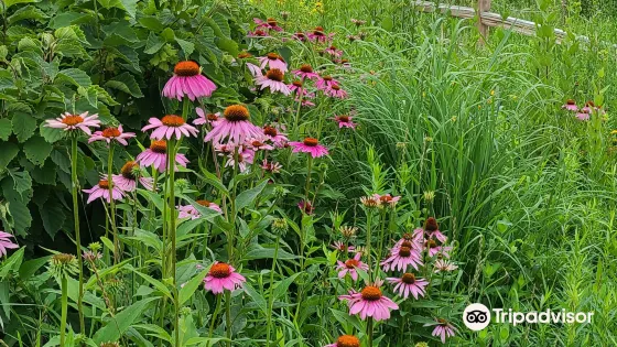 Heller Nature Center