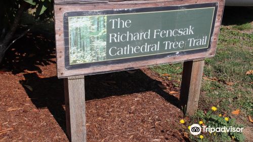 Richard Fenscak Cathedral Tree Trail Trailhead