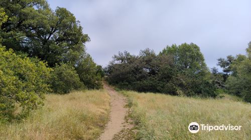 Taylor Mountain Regional Park & Open Space Preserve