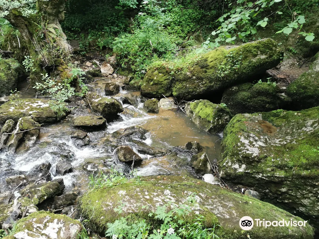 5_Sumidero del Río Guareña