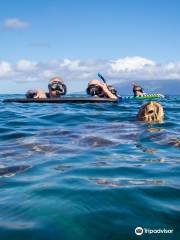 The Ocean Project On Maui