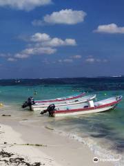 National Reef Park Of Puerto Morelos