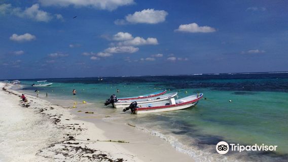 National Reef Park Of Puerto Morelos