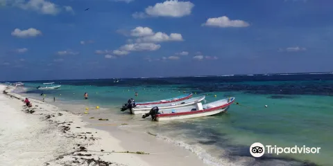 National Reef Park Of Puerto Morelos