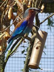 Lakeland Wildlife Oasis