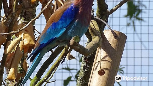 Lakeland Wildlife Oasis