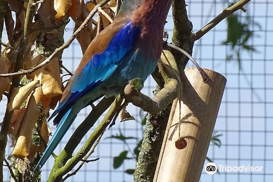 Lakeland Wildlife Oasis