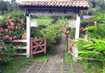 Provinz Laguna