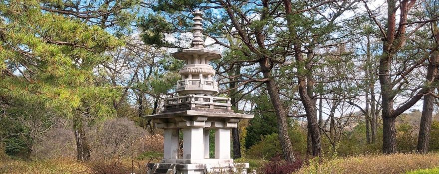 Pocheon