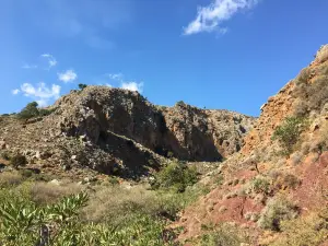 Gorge of the Dead