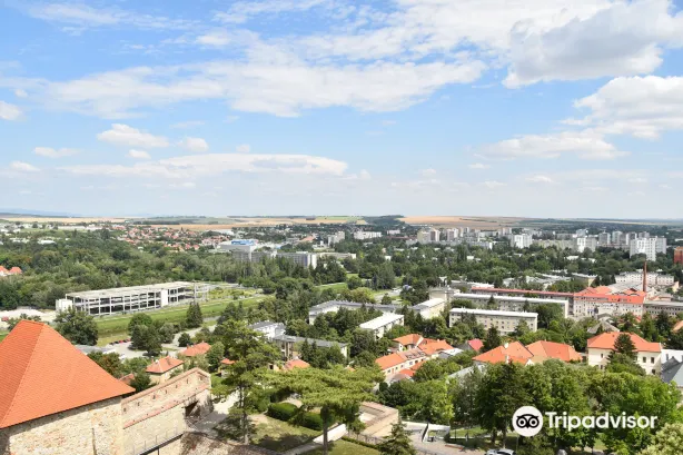 Nitra Castle