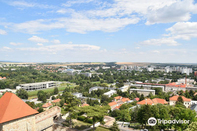 Nitra Castle