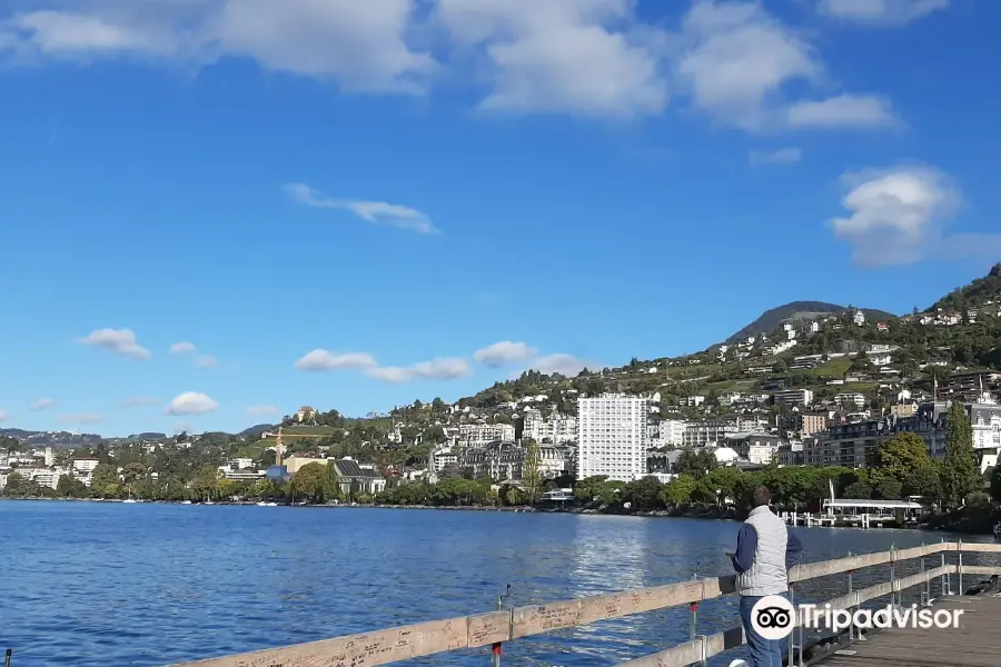 弗勒力湖岸步行區