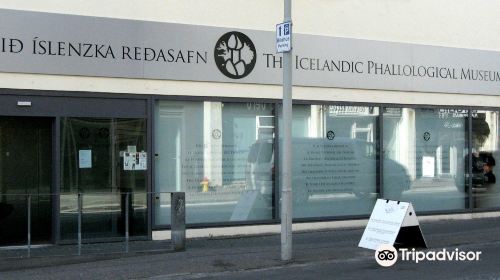 The Icelandic Phallological Museum (Hið Íslenzka Reðasafn)