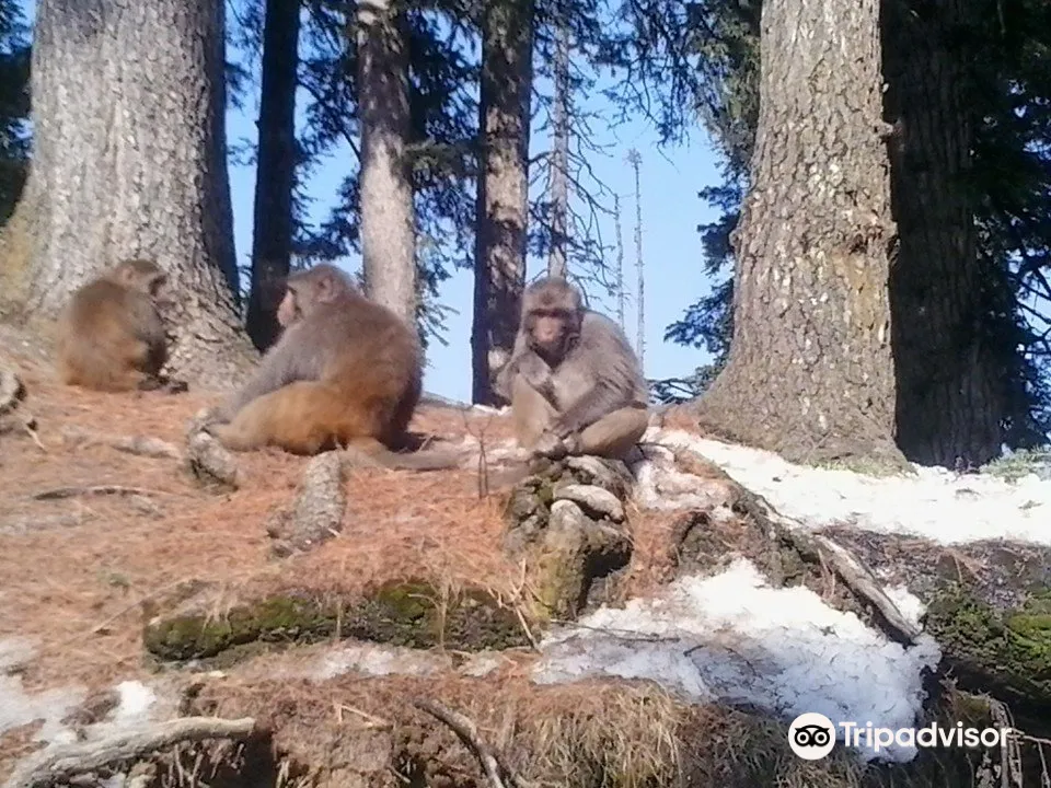 2_걸마그 와일드라이프 보호구역