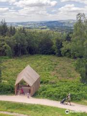 Haldon Forest Park - Forestry England