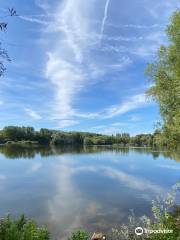 Radley Lakes / Thrupp Lake Trail