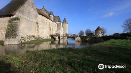 Chateau de Chemery