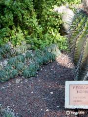 Jardín Huerto del Cura