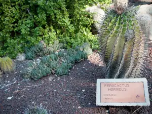 Huerto Del Cura Jardin Artistico Nacional