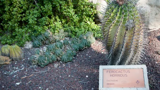 Huerto Del Cura Jardin Artistico Nacional