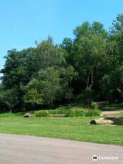 Jardin franco-allemand de Sarrebruck