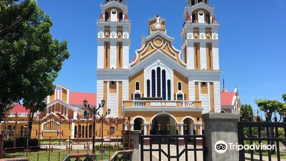 Metropolitan Cathedral of Our Lord's Transfiguration