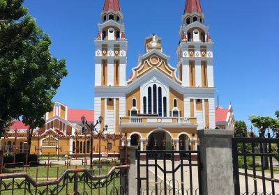 Palo