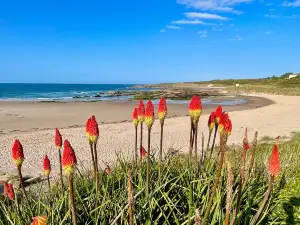 Hopeman East Beach