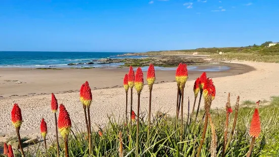 Hopeman East Beach