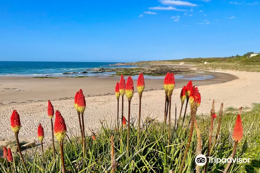 Hopeman East Beach